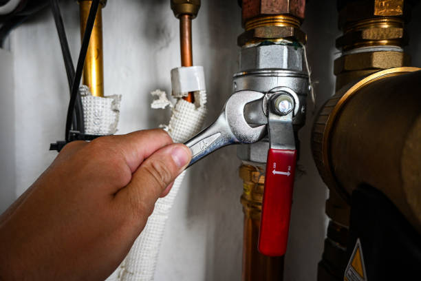Best Same-Day Plumbing Service  in Dovesville, SC